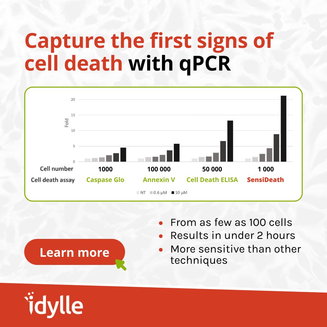 Idylle ad