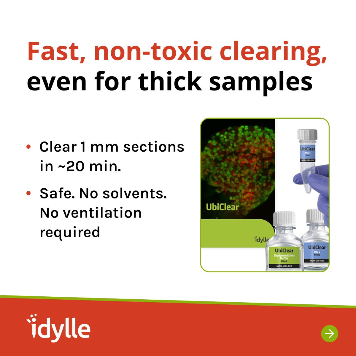 Idylle ad