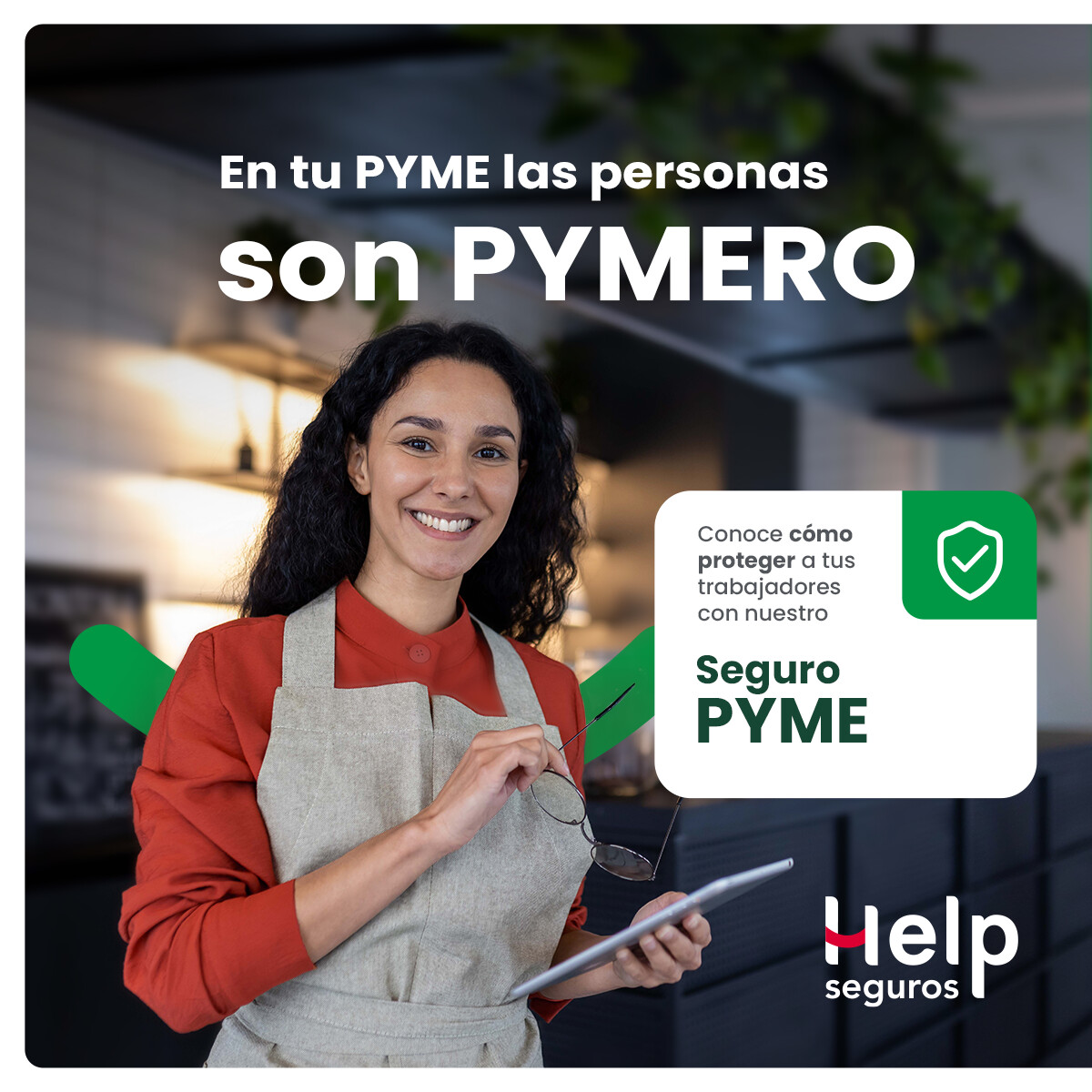 Help Seguros ad