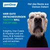 pmOne Group ad