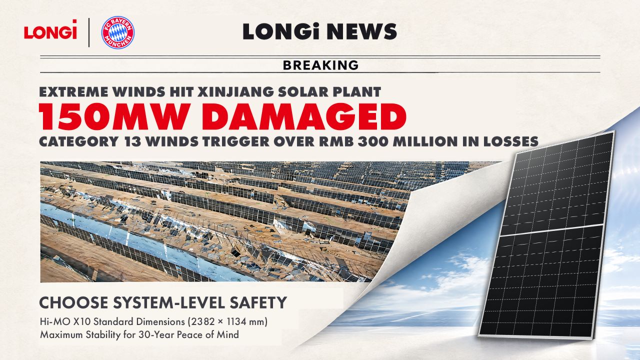 LONGi Asia-Pacific ad