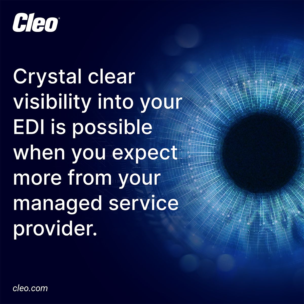 Cleo ad