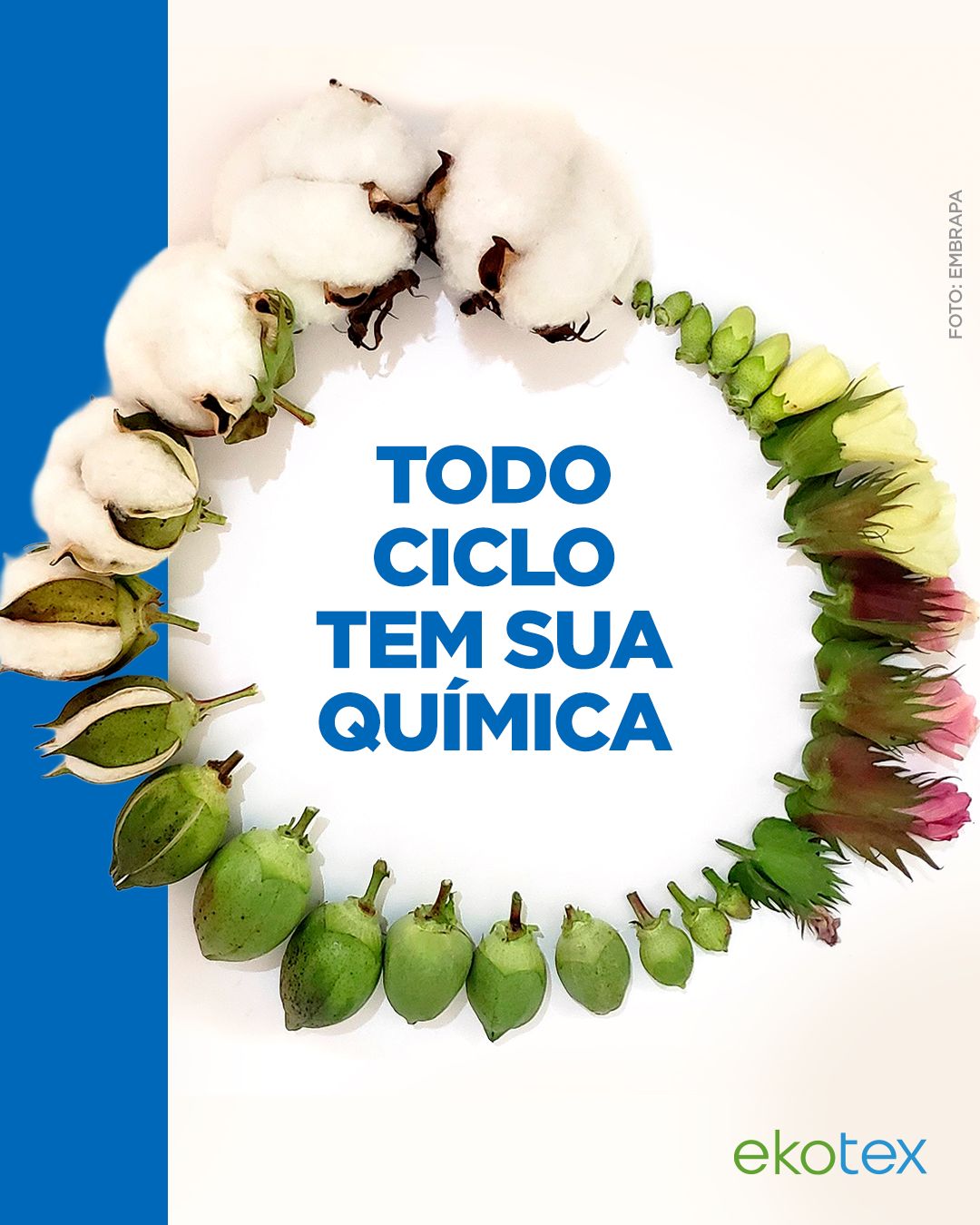 Ekotex Química ad