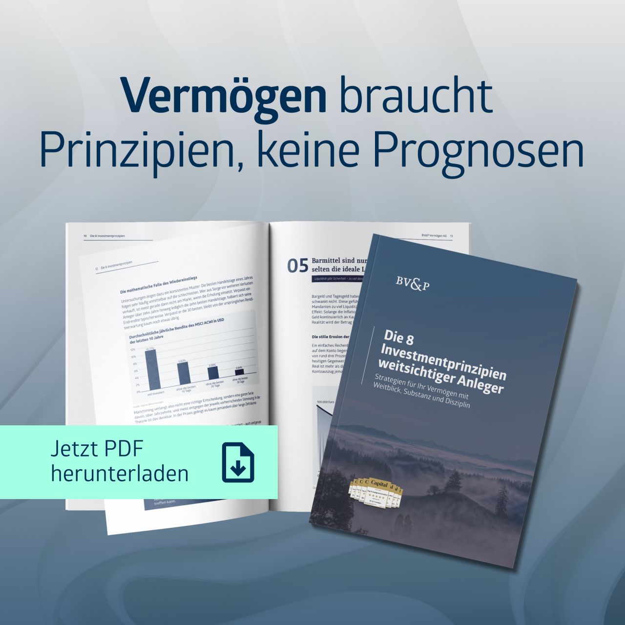 BV & P Vermögen AG ad