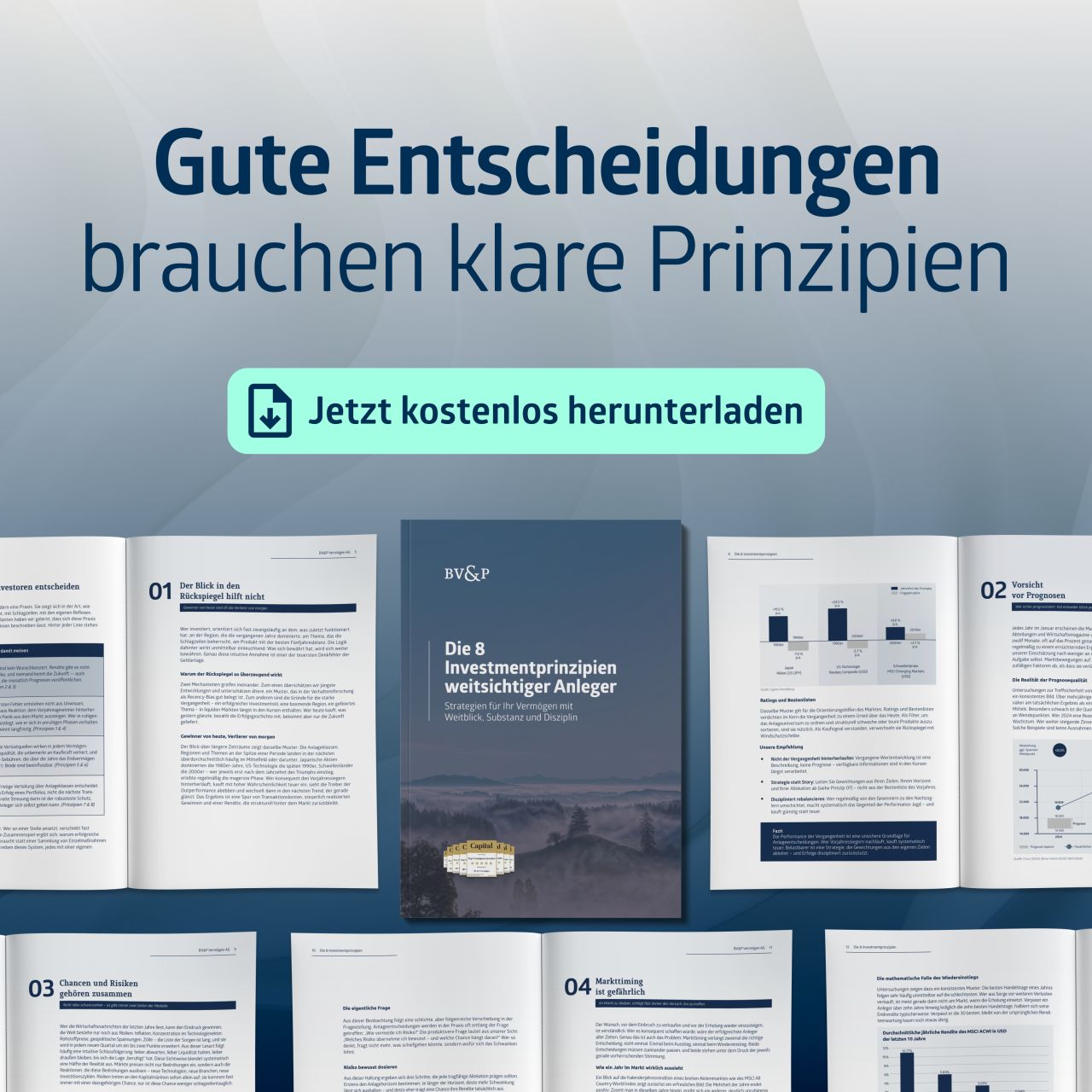 BV & P Vermögen AG ad