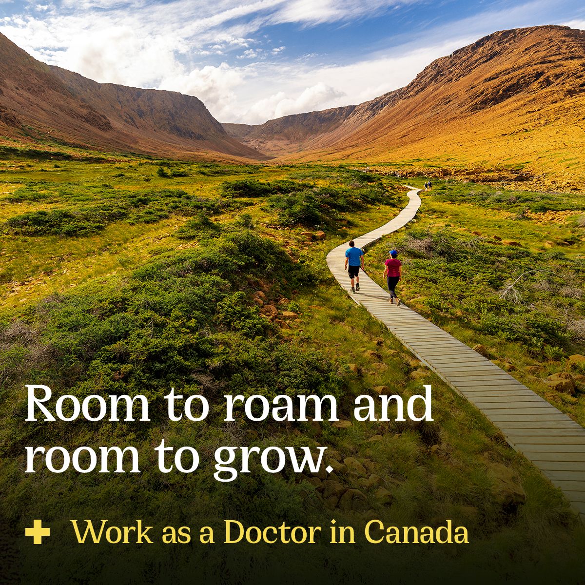 Government of Newfoundland and Labrador ad