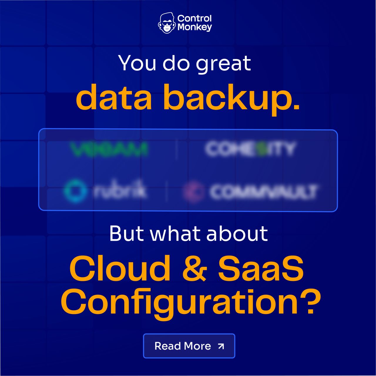 ControlMonkey ad