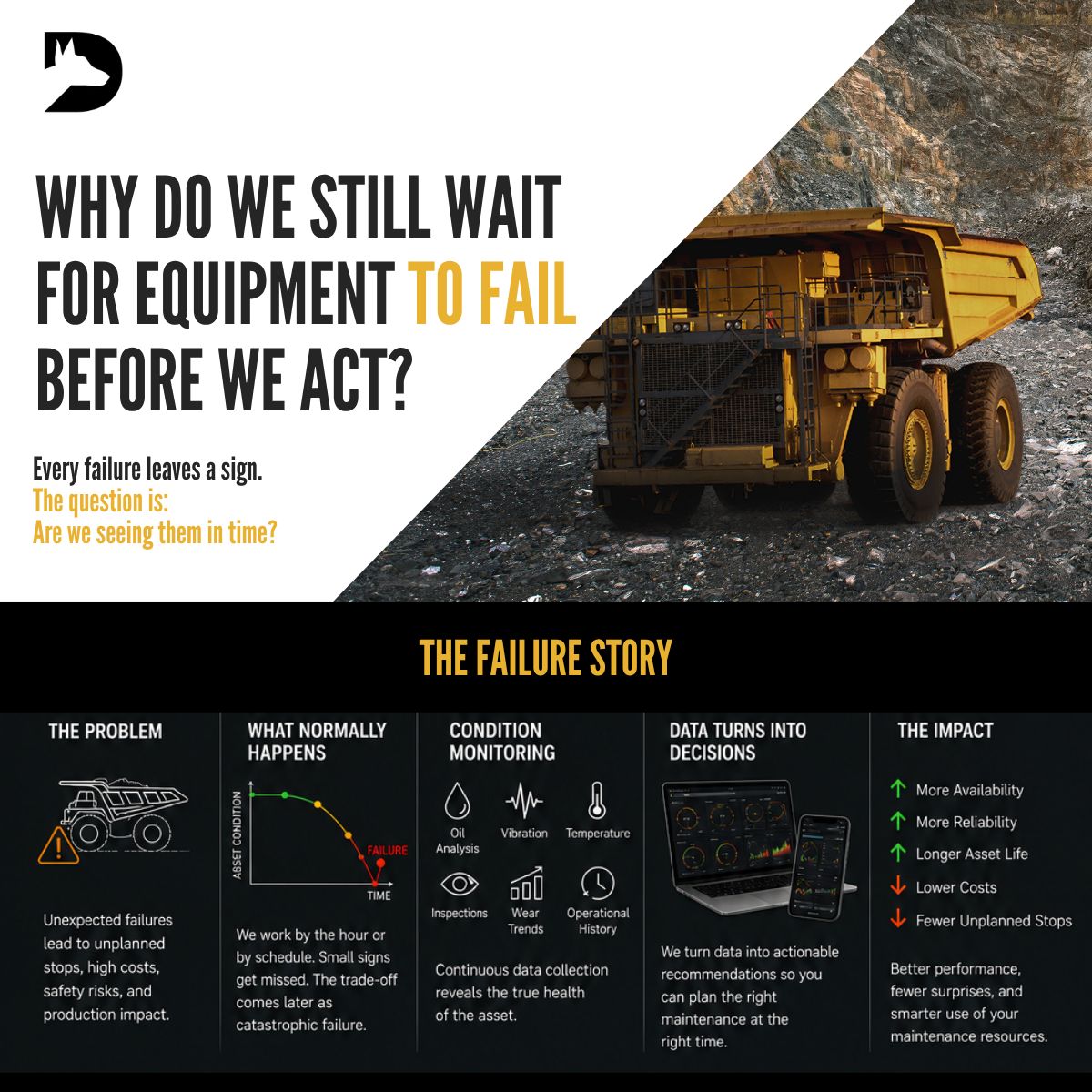 DINGO ad