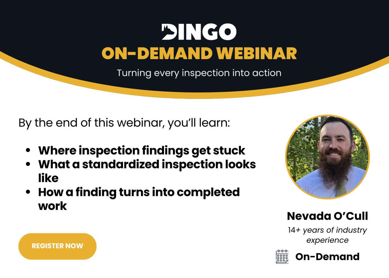 DINGO ad