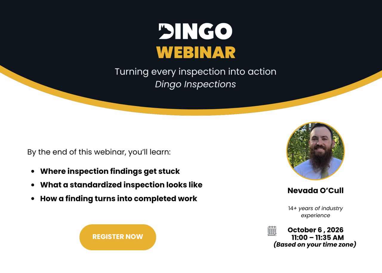 DINGO ad