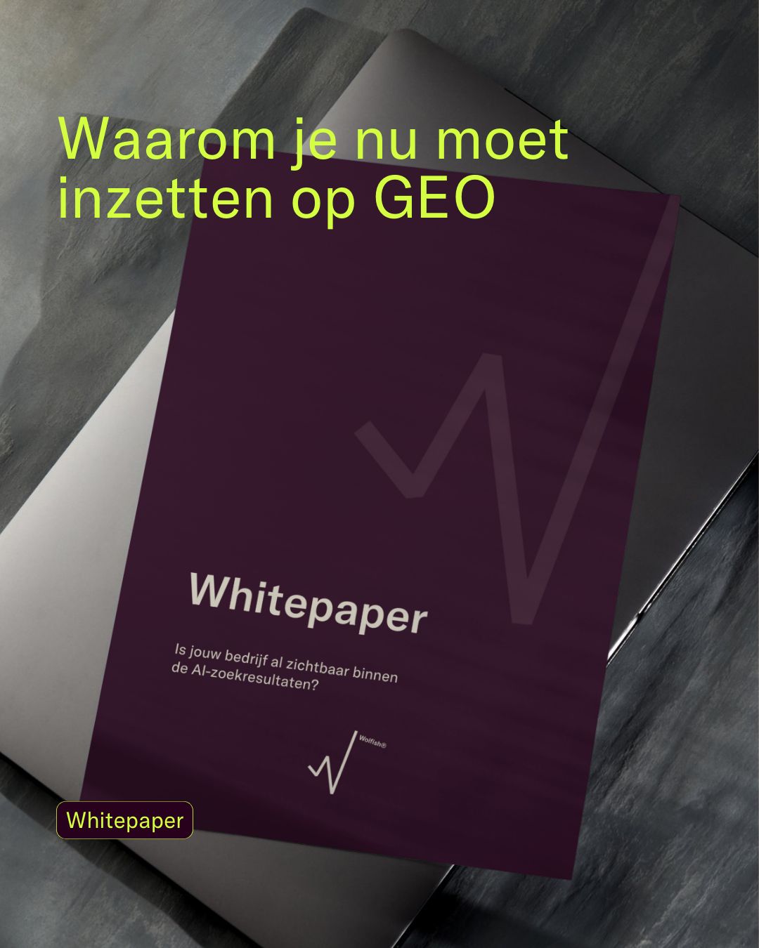 Wolfish ad