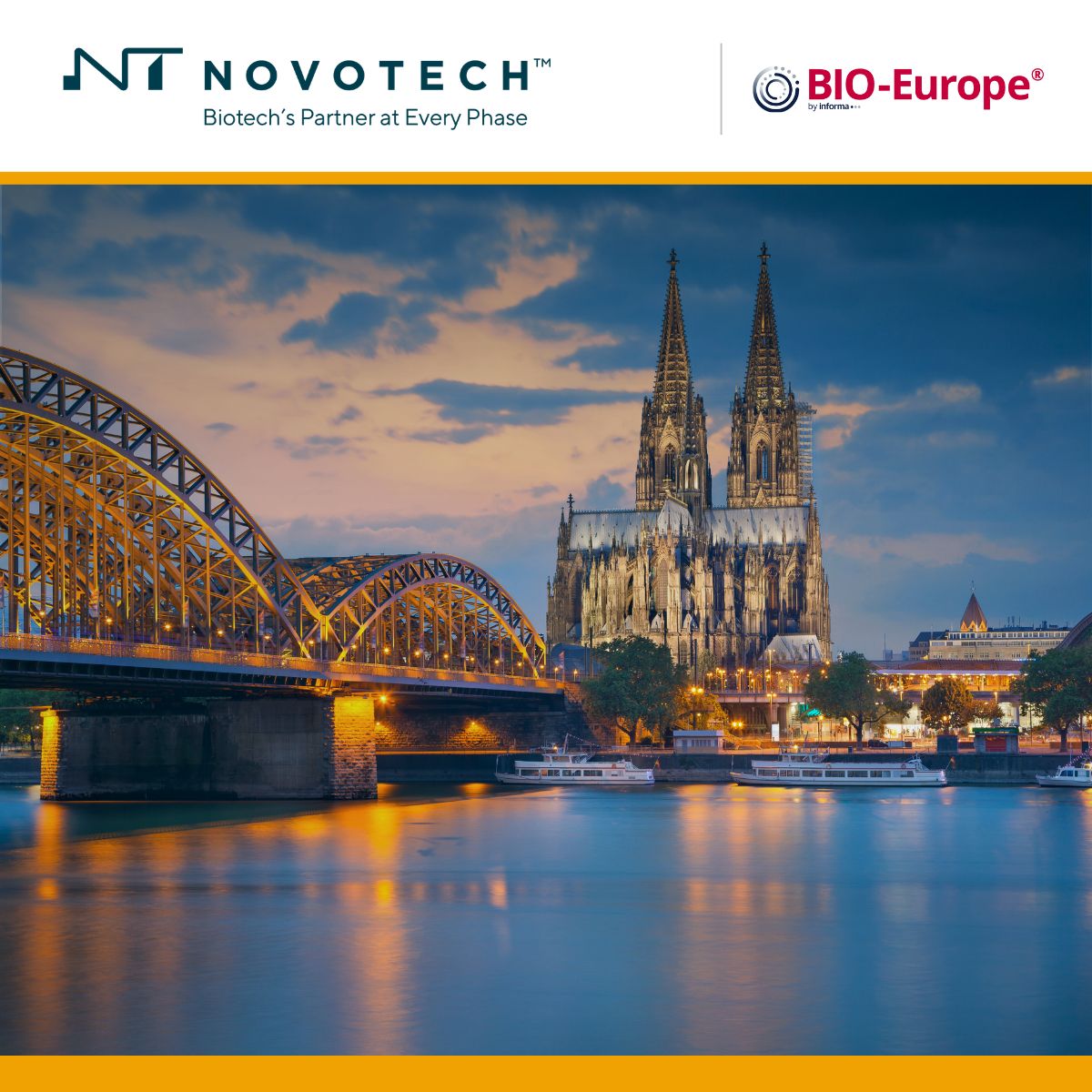 Novotech ad