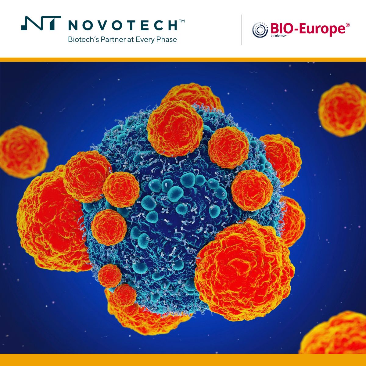 Novotech ad