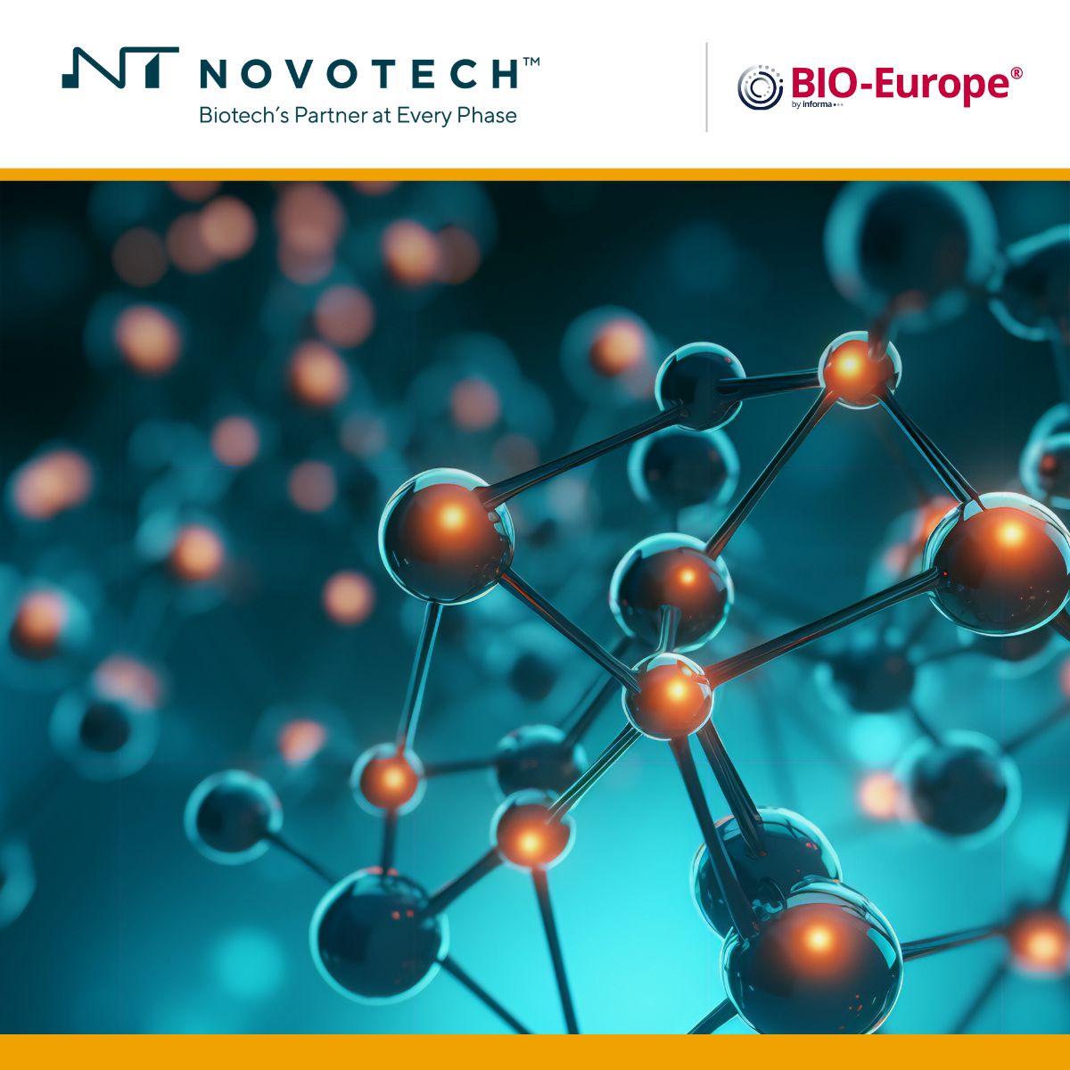 Novotech ad