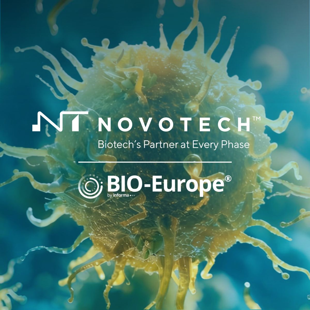 Novotech ad