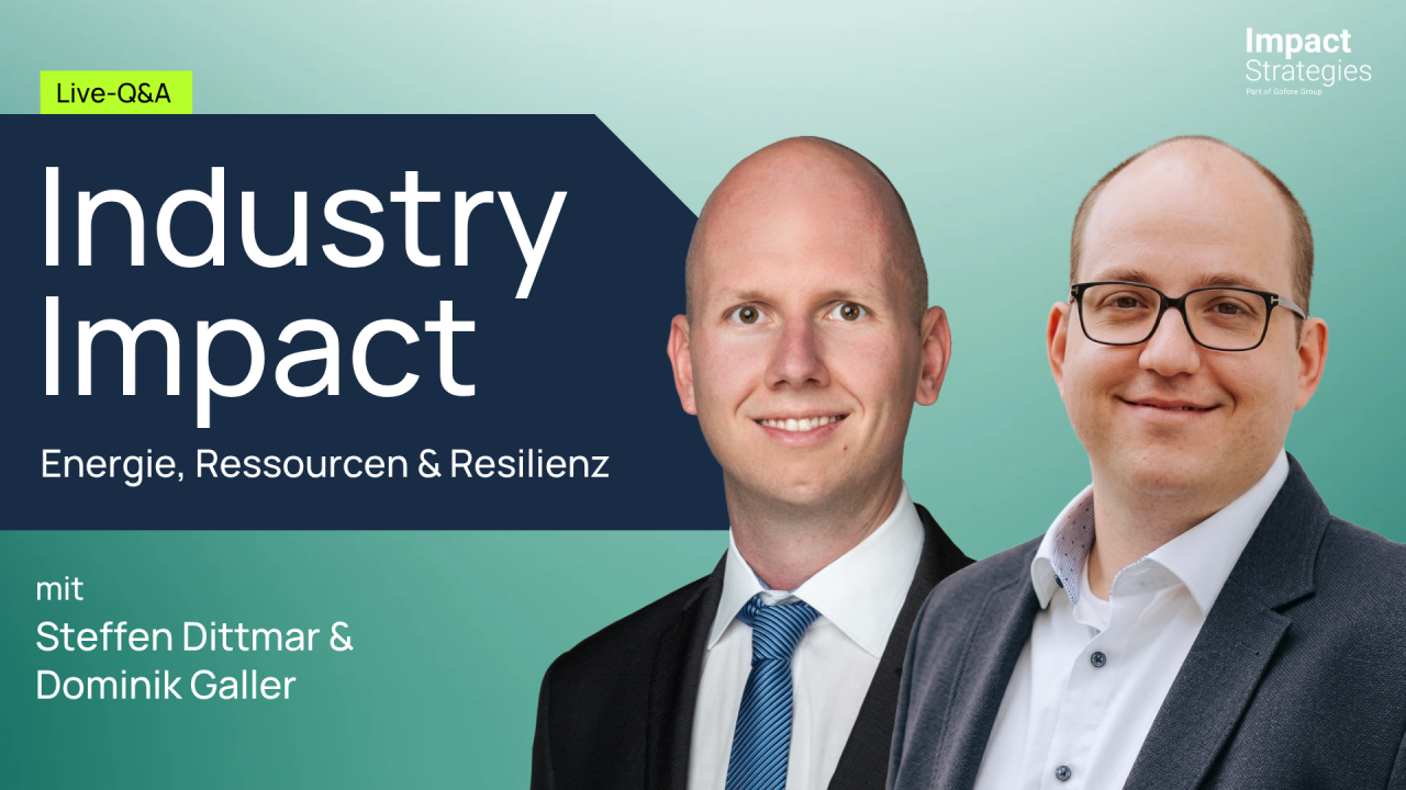 Impact Strategies GmbH - Part of Gofore Group ad