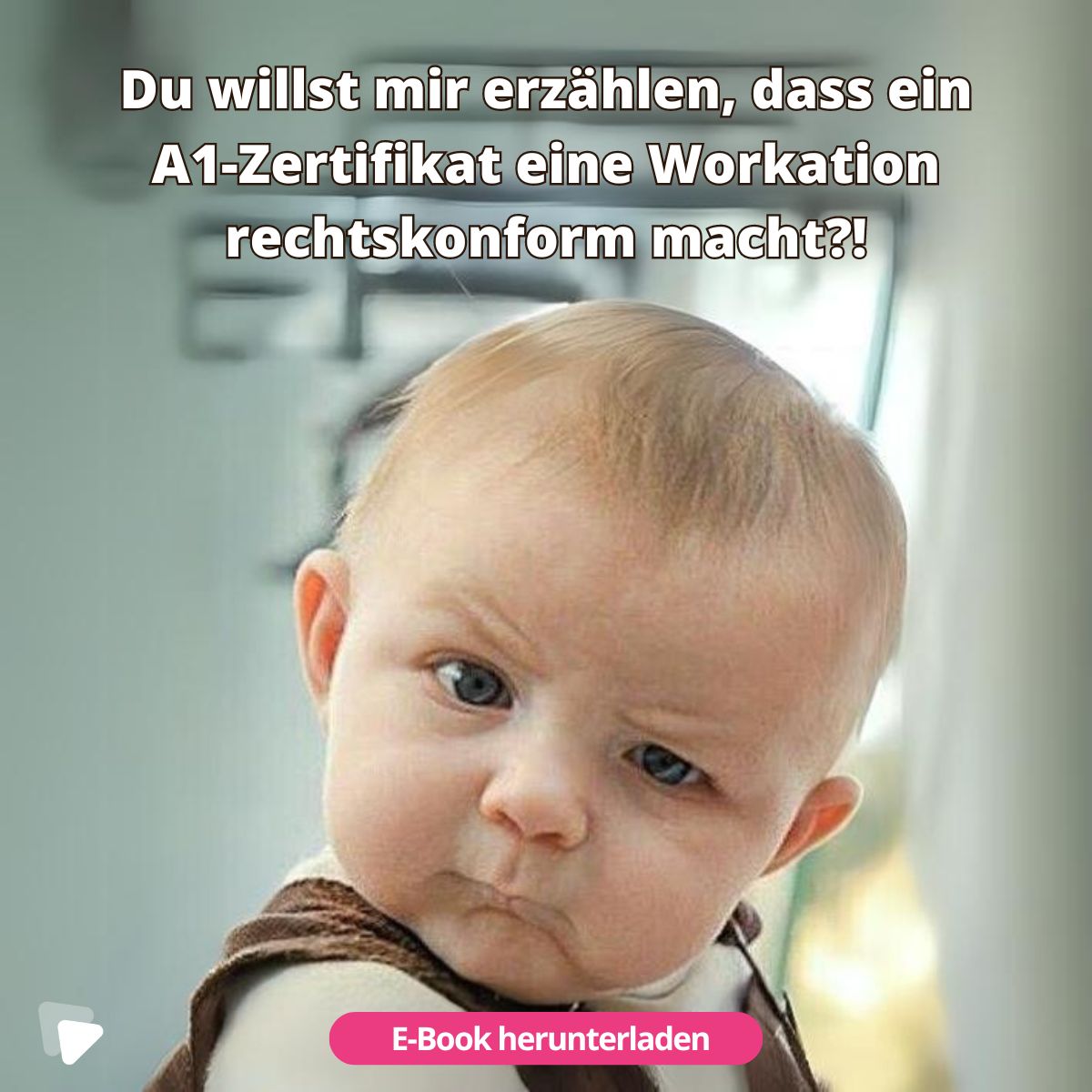 WorkFlex ad