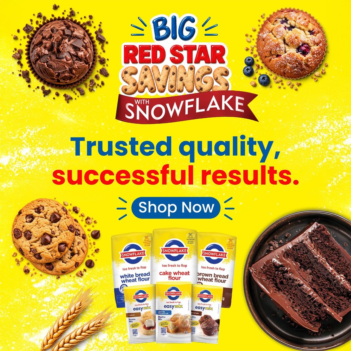 Premier FMCG (Pty) Ltd ad