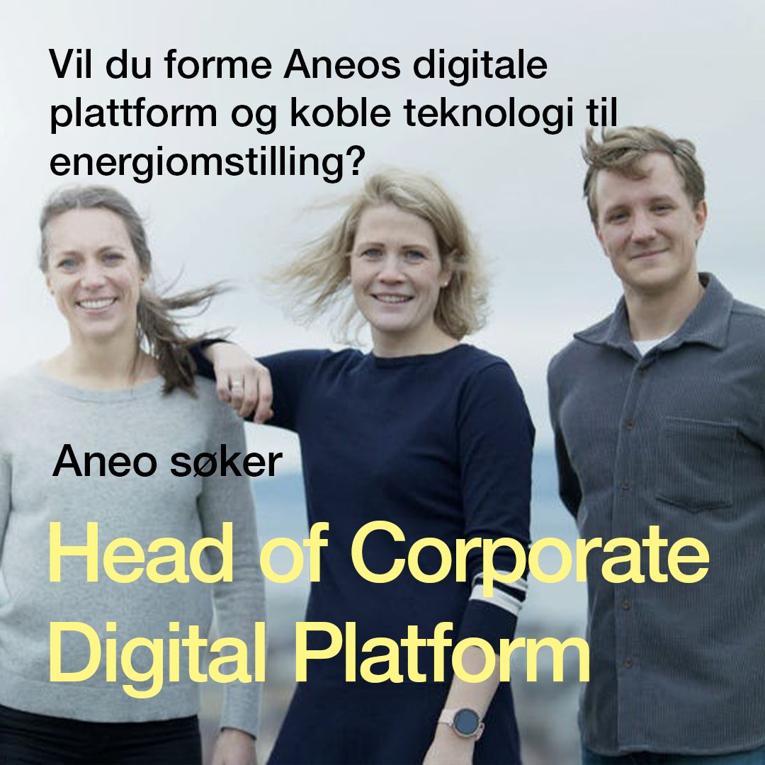Aneo ad