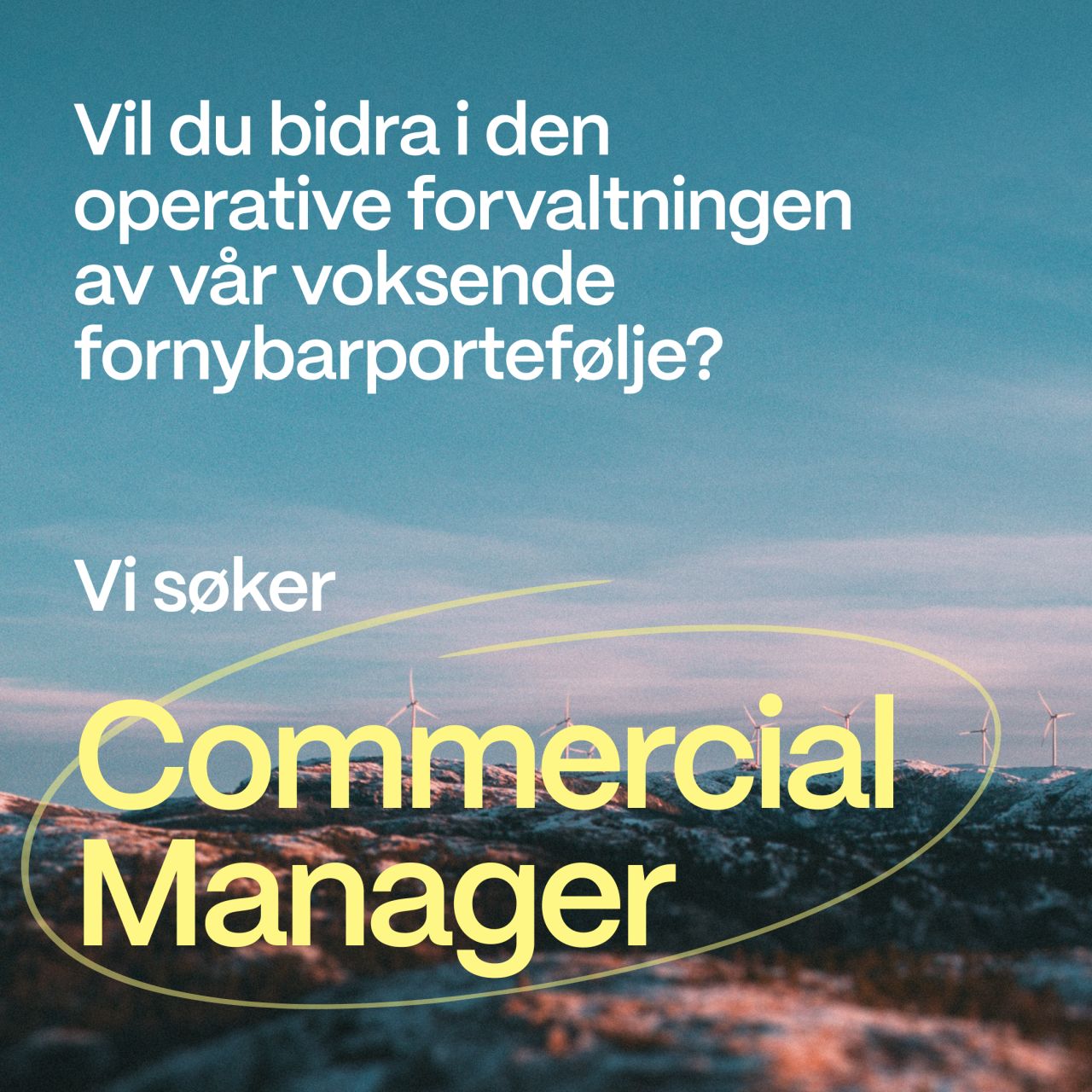 Aneo ad