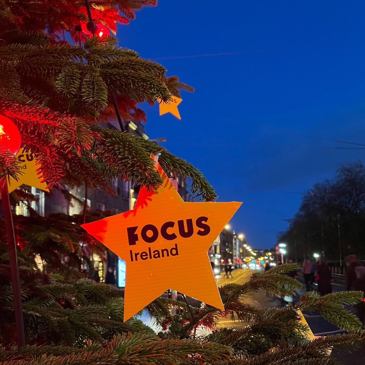 Focus Ireland ad
