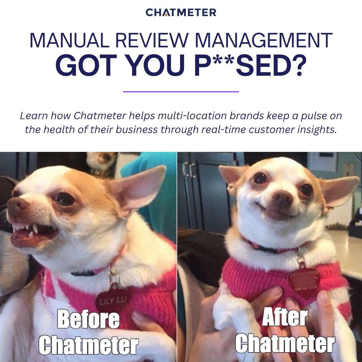 Chatmeter ad