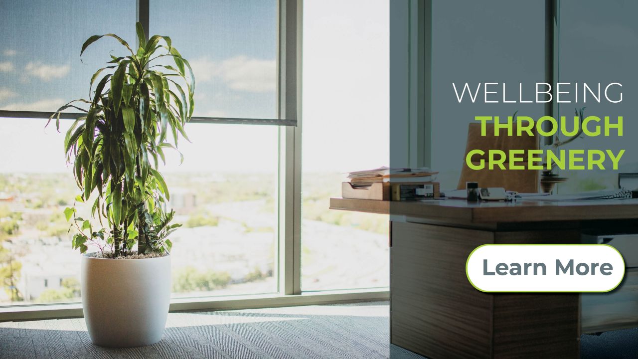 Natura - Interior Plant Design ad