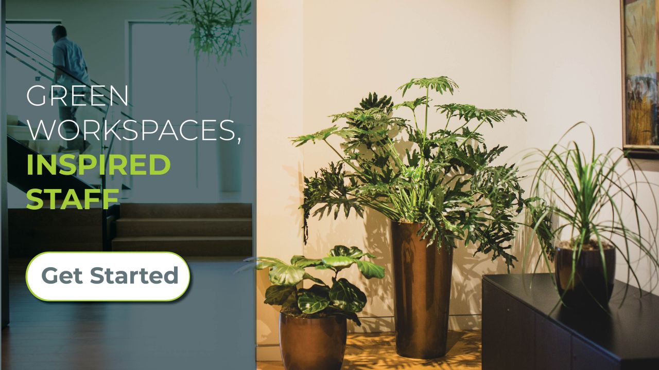 Natura - Interior Plant Design ad