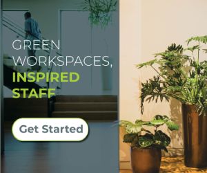 Natura - Interior Plant Design ad