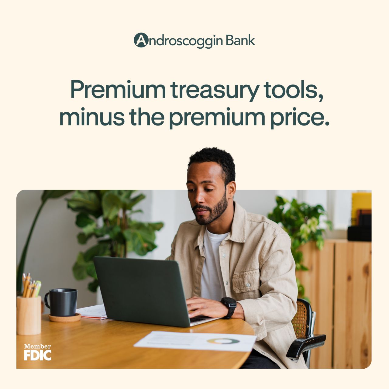 Androscoggin Bank ad