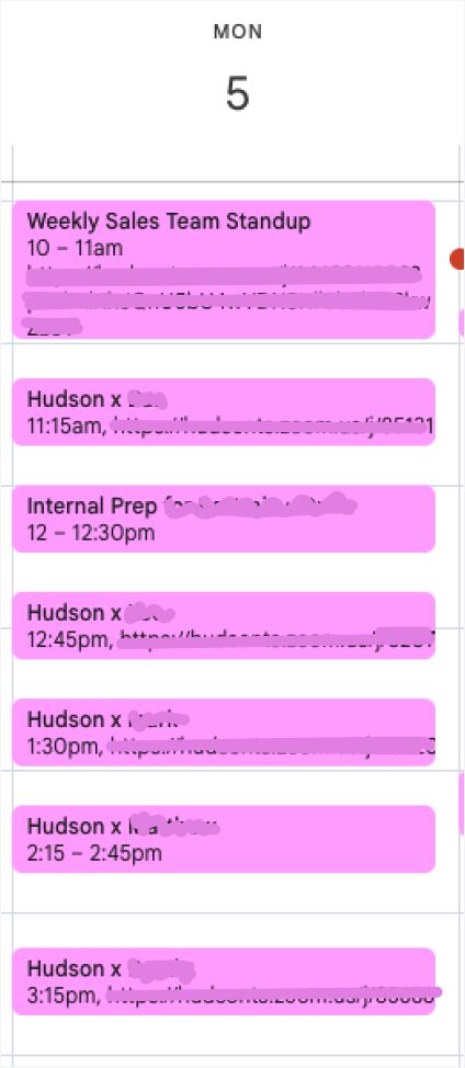 Hudson ad