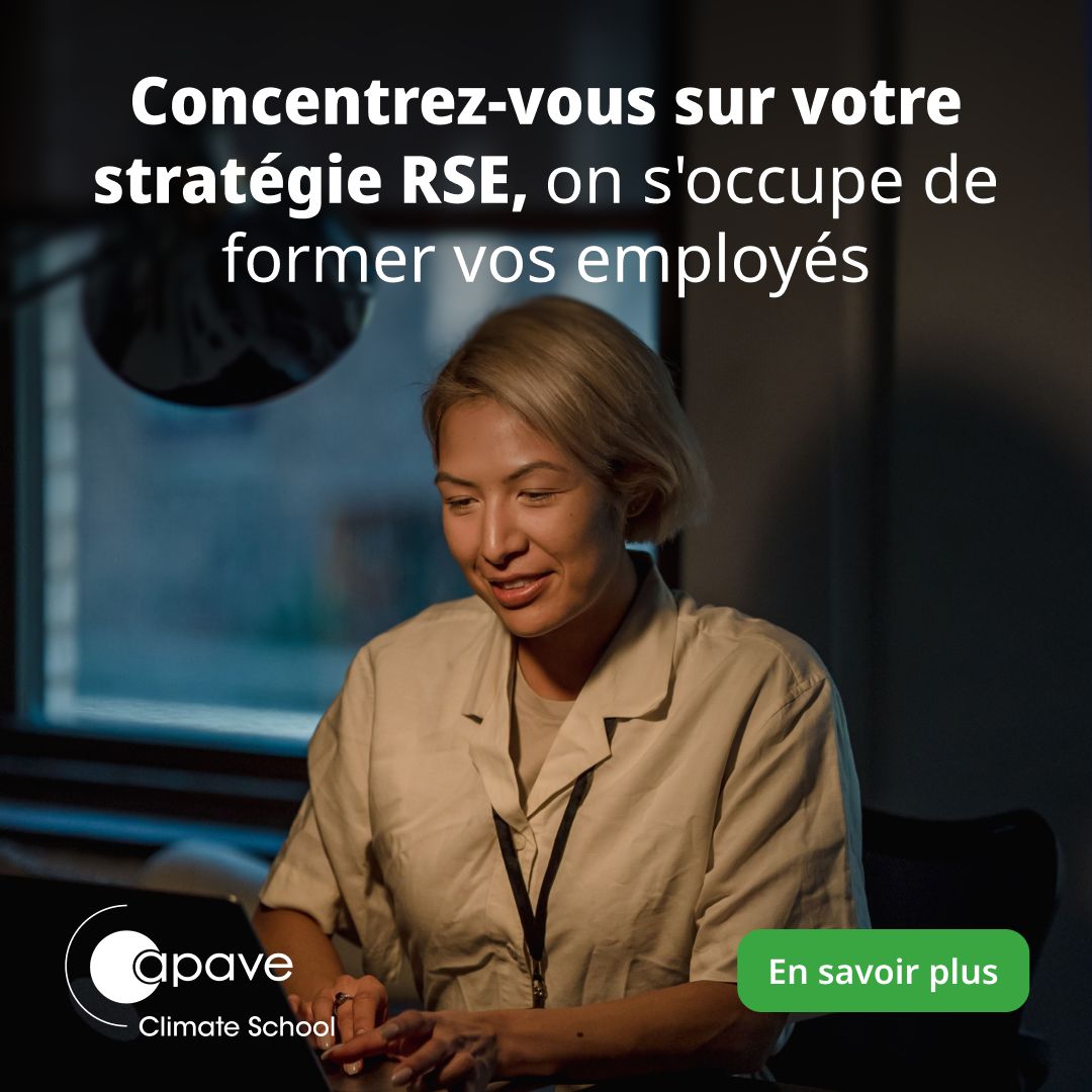 Apave Climate School ad