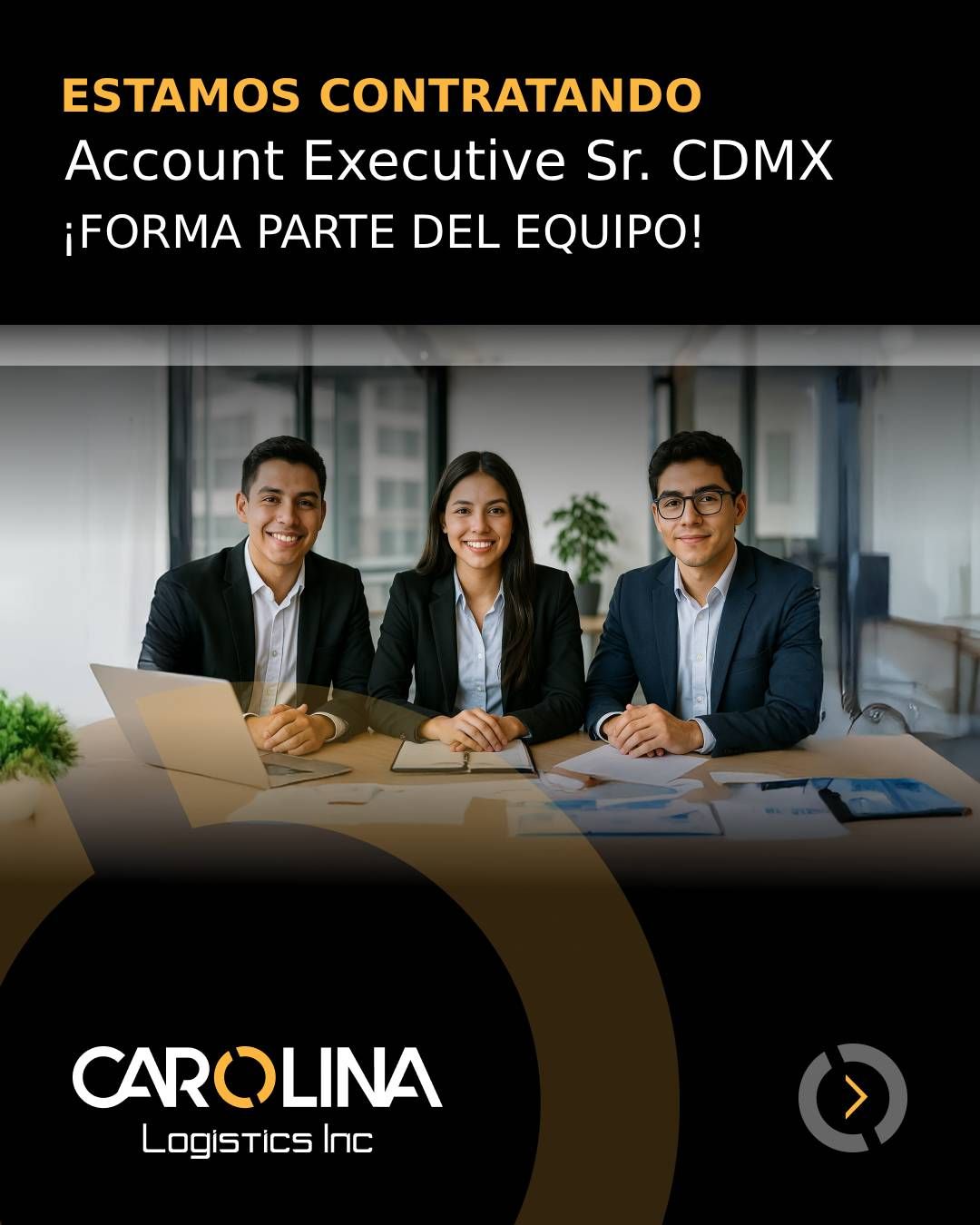 Carolina Logistics México ad