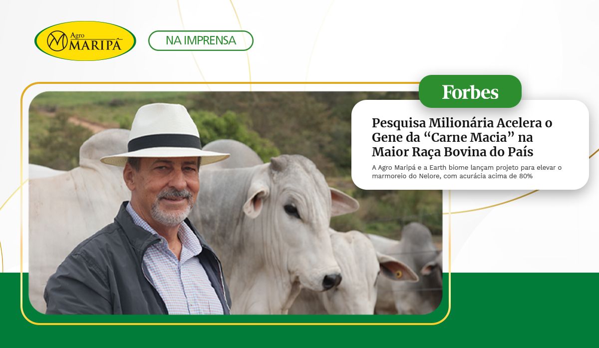 Agro Maripá ad