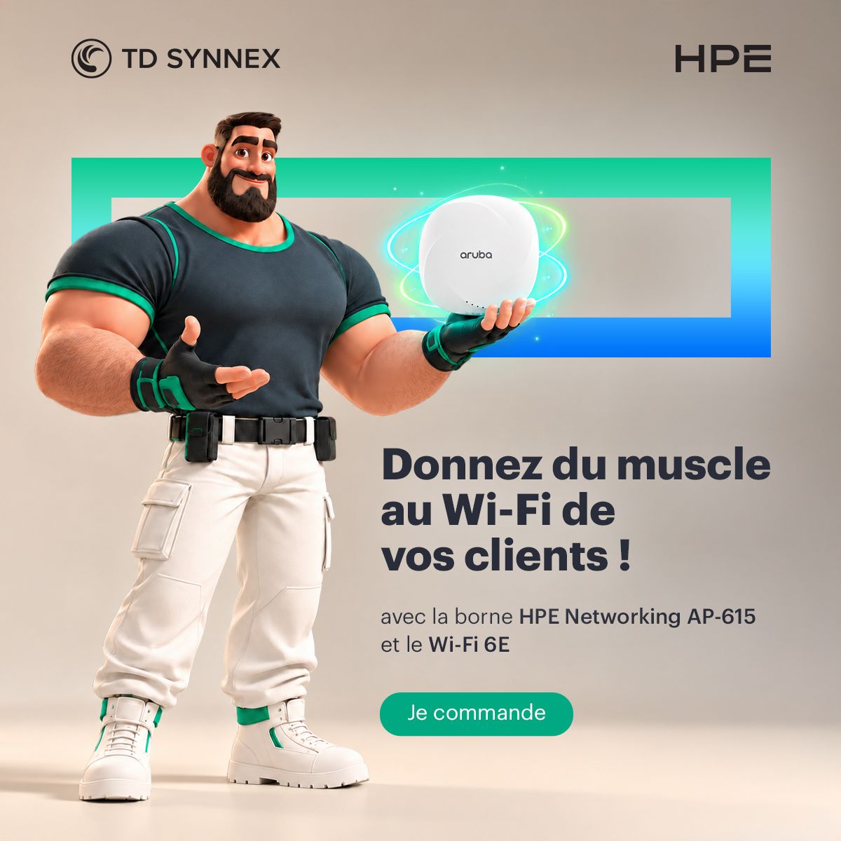 TD SYNNEX France ad