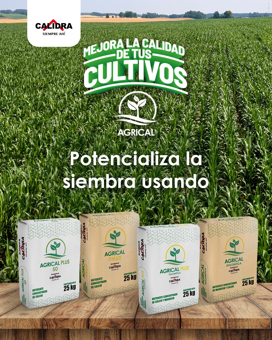 Grupo Calidra ad