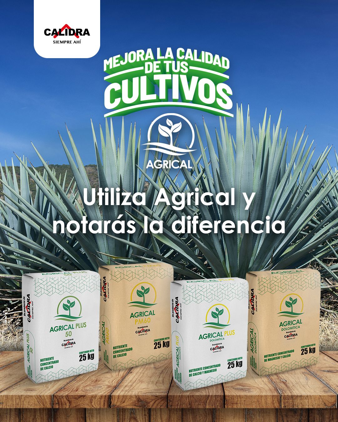 Grupo Calidra ad