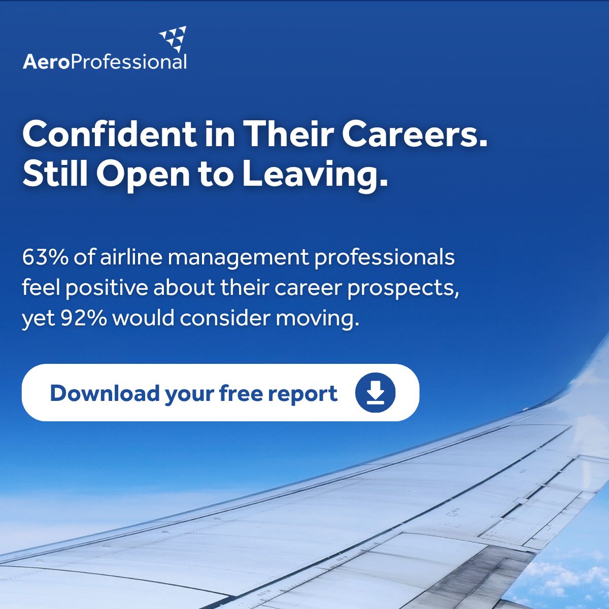 AeroProfessional Limited ad