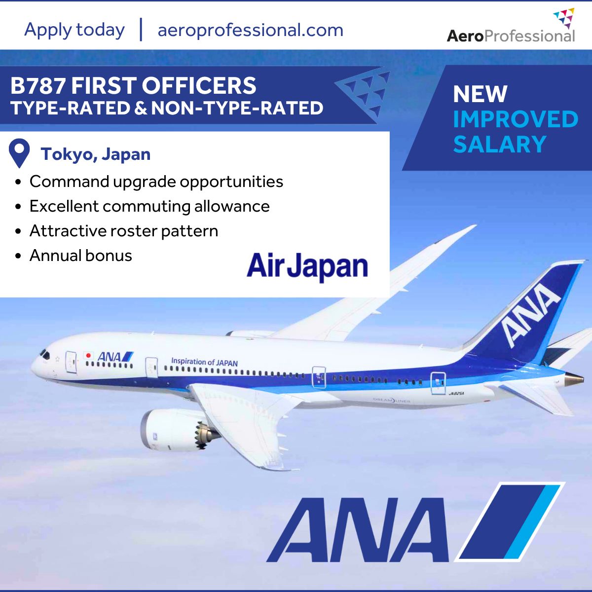 AeroProfessional Limited ad