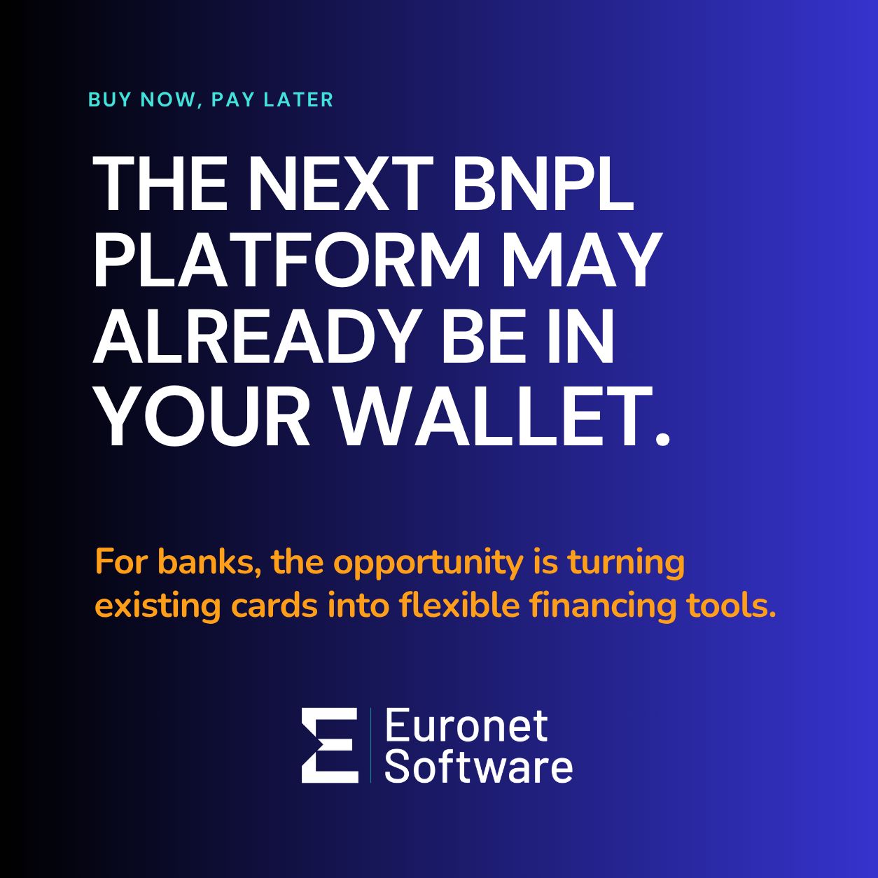 Euronet Software Solutions ad
