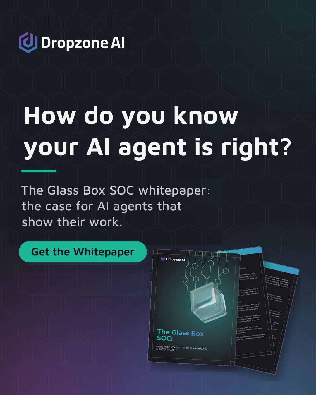 Dropzone AI ad