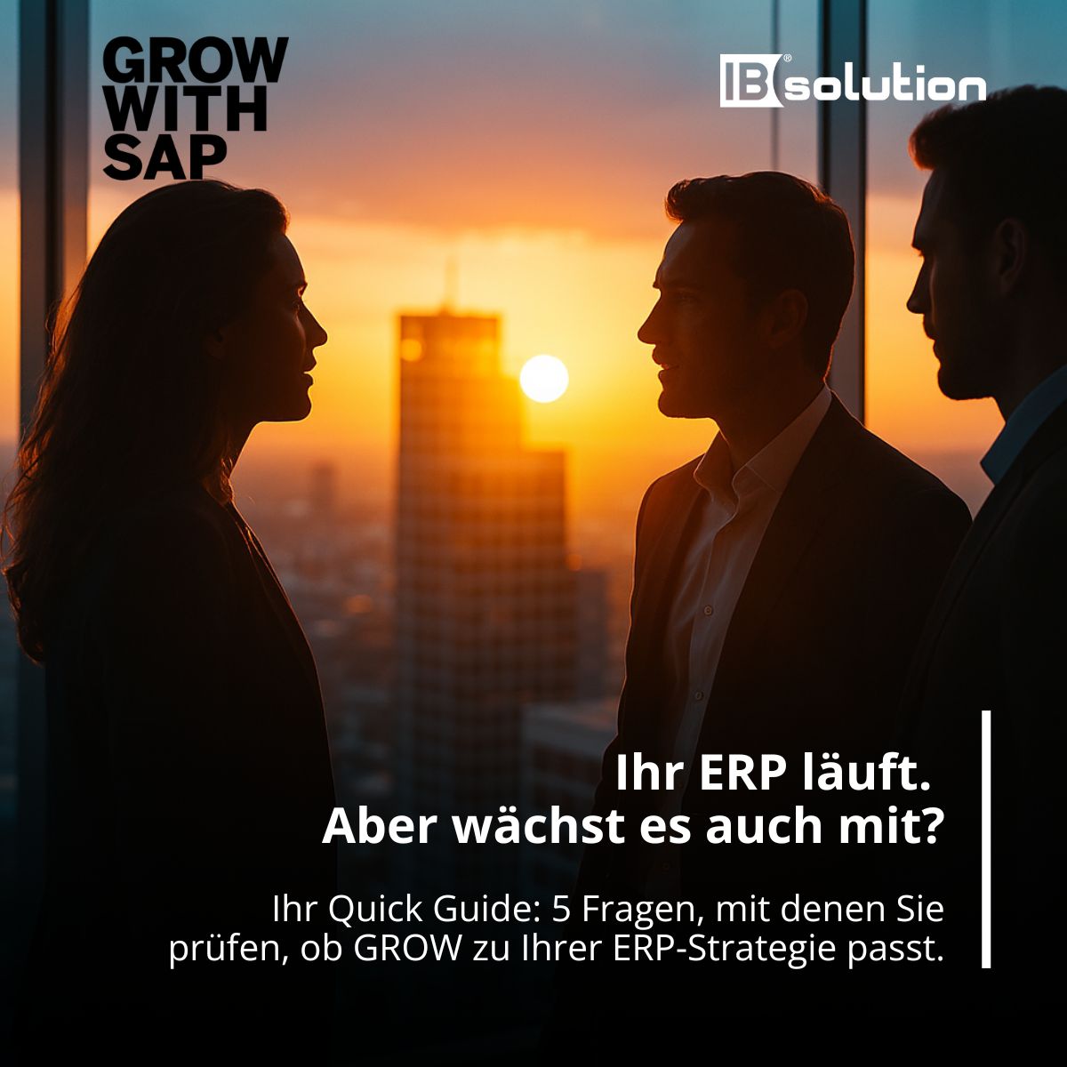 IBsolution ad
