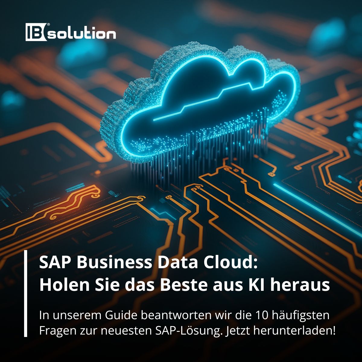 IBsolution ad