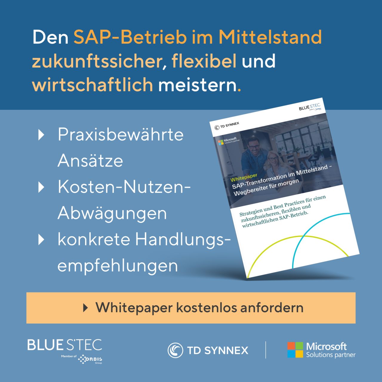 BLUE STEC GmbH ad