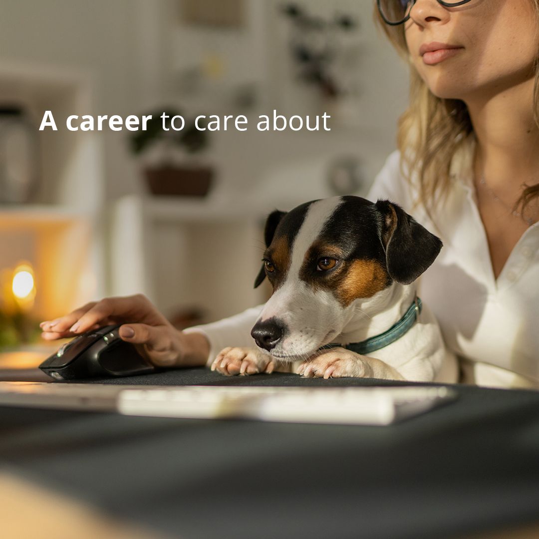 HealthMarkets, Inc. ad