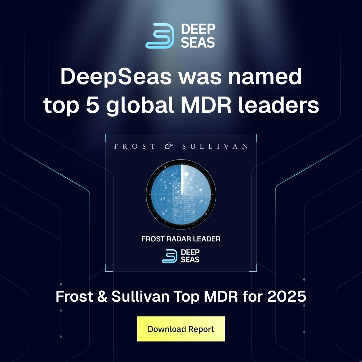 DeepSeas ad