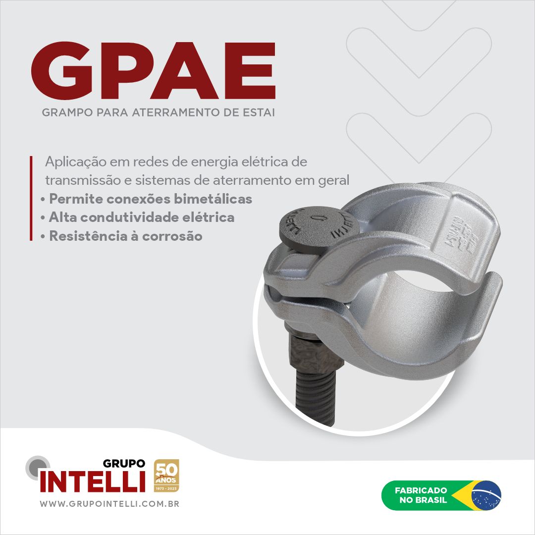 GRUPO INTELLI ad