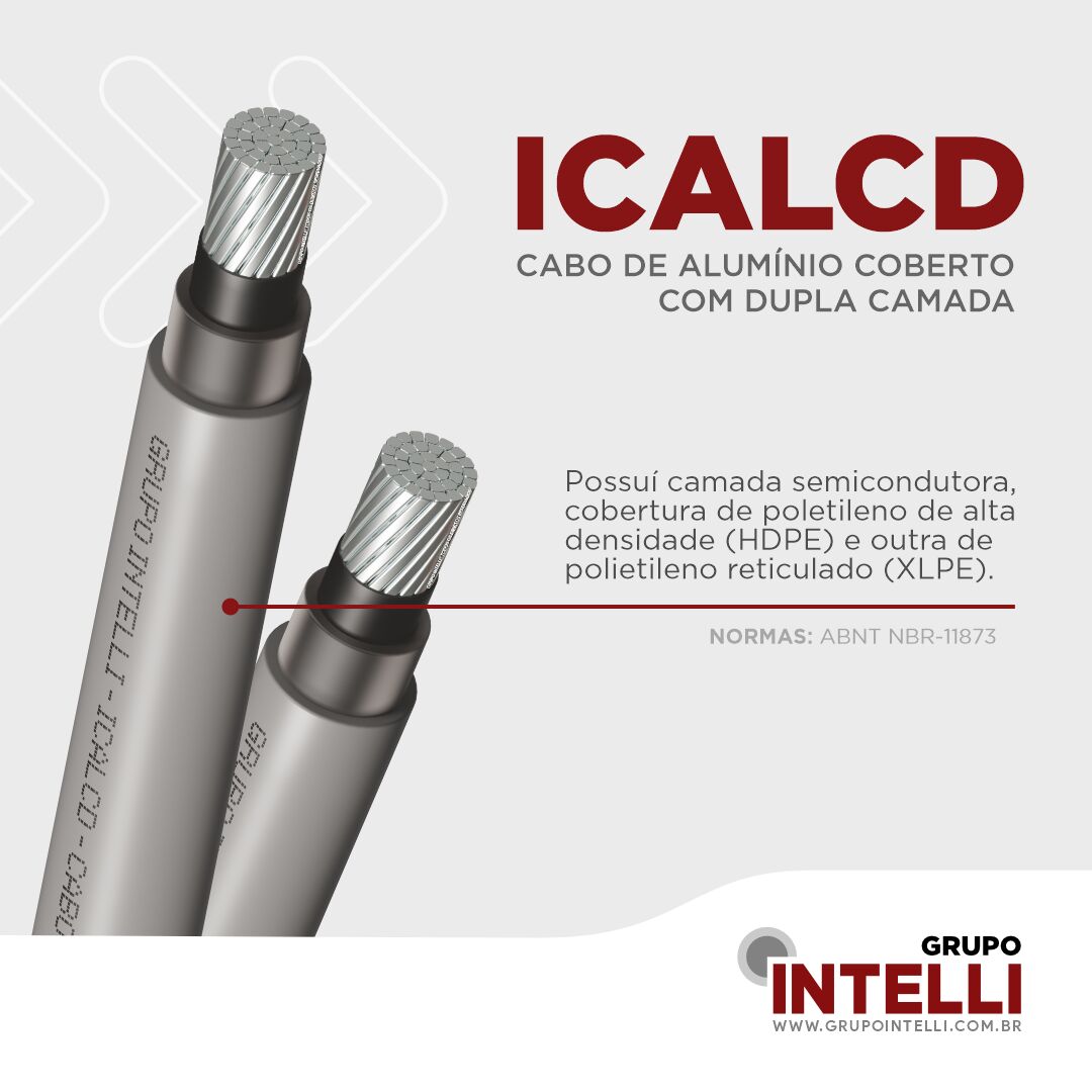 GRUPO INTELLI ad