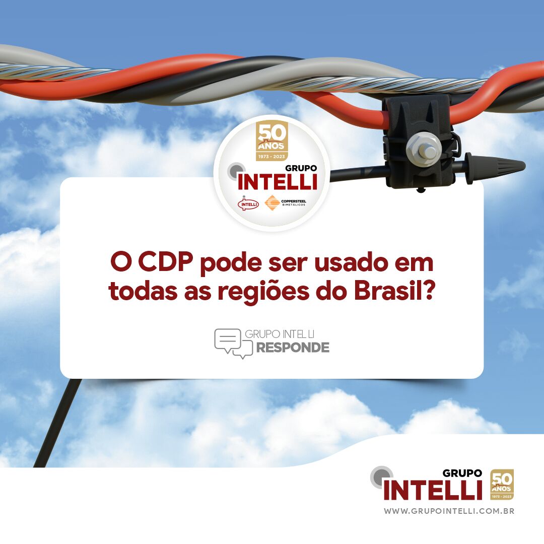 GRUPO INTELLI ad