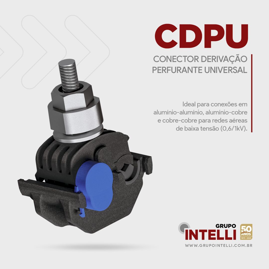 GRUPO INTELLI ad